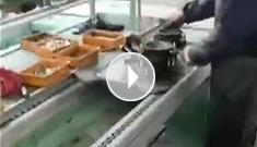 辰力手拉葫蘆車間，手拉葫蘆流水作業中